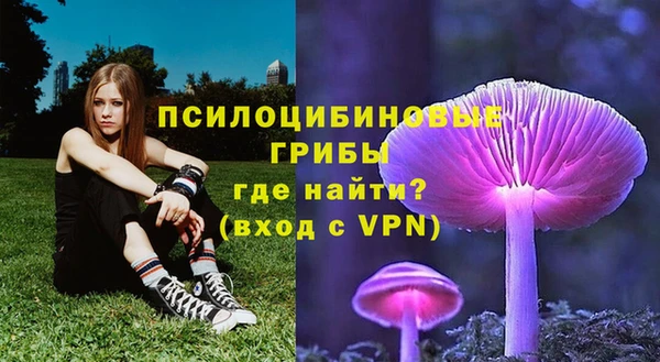 метадон Протвино