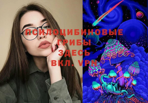 стафф Приозерск